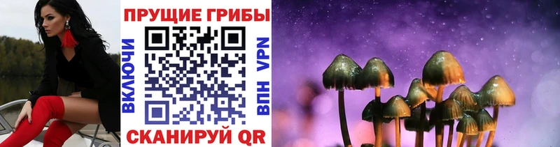 закладки  Мытищи  Псилоцибиновые грибы мухоморы 