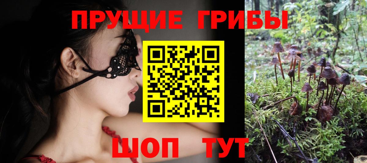 Мытищи  Псилоцибиновые грибы GOLDEN TEACHER  Псилоцибиновые грибы мицелий  Вход с VPN 
